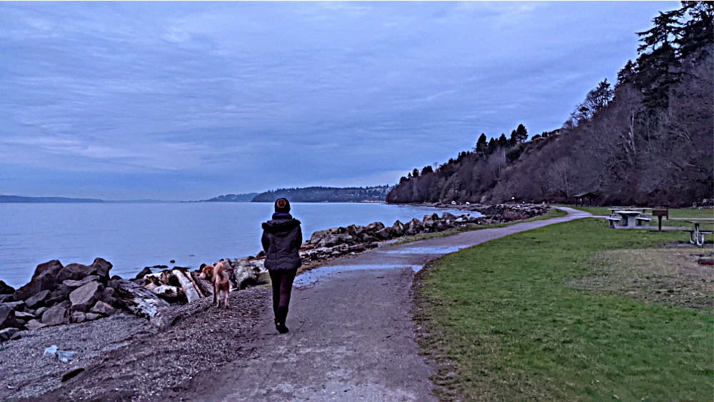 Des Moines Wa Guide Family Friendly Activities Restaurants Shops More Thrifty Nw Mom