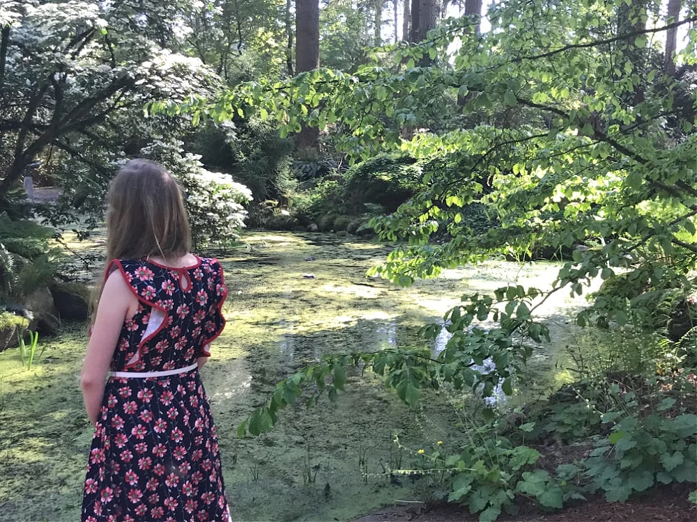 rhododendron gardens in federal way