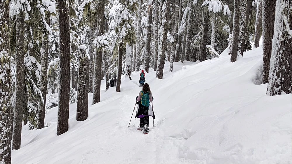Snowshoeing at White Pass PCT Trail