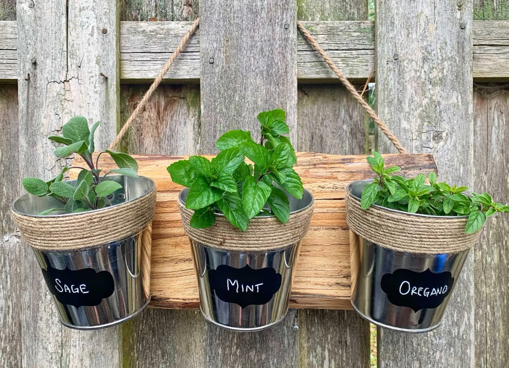 herb garden made from dollar store supplies