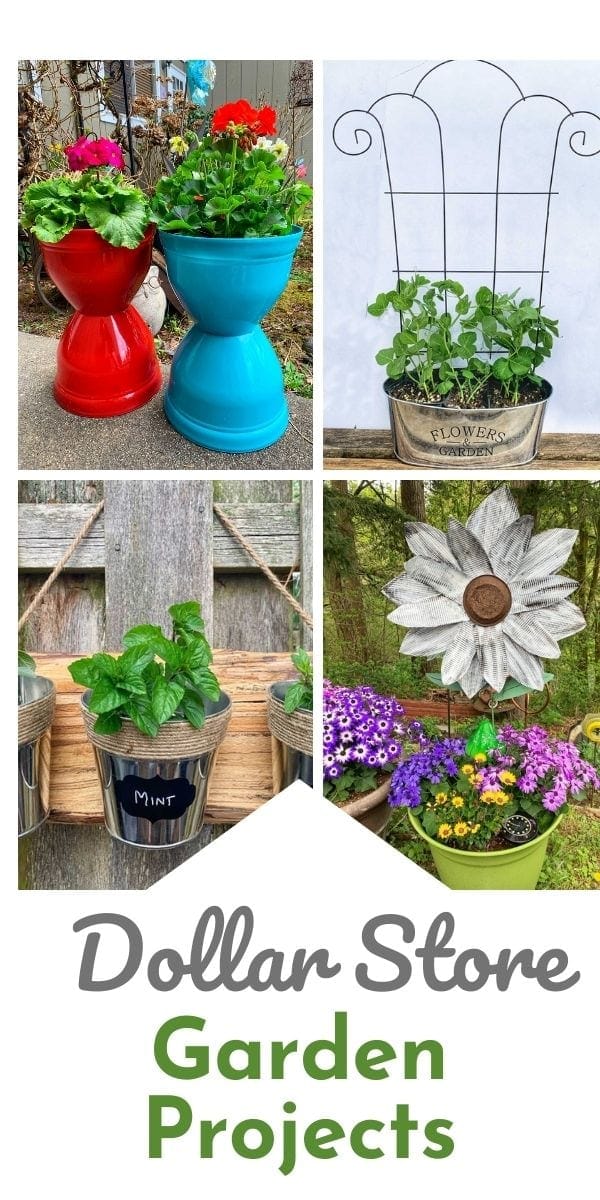 dollar store garden hacks