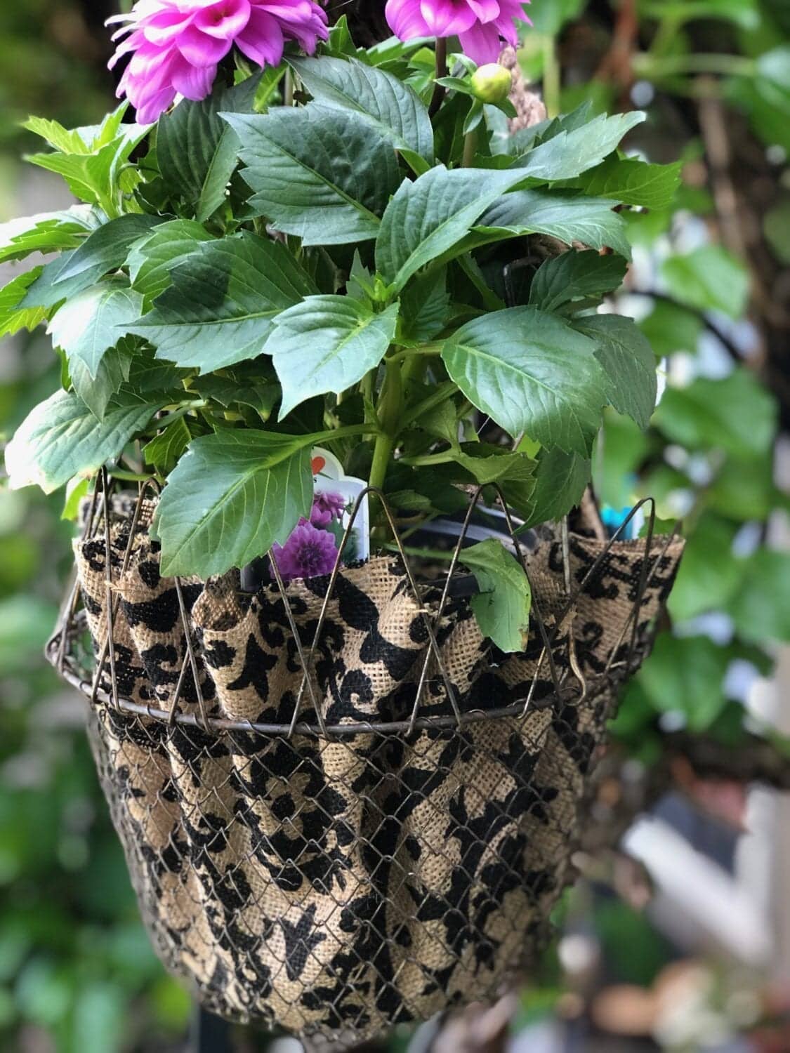 diy hanging planter