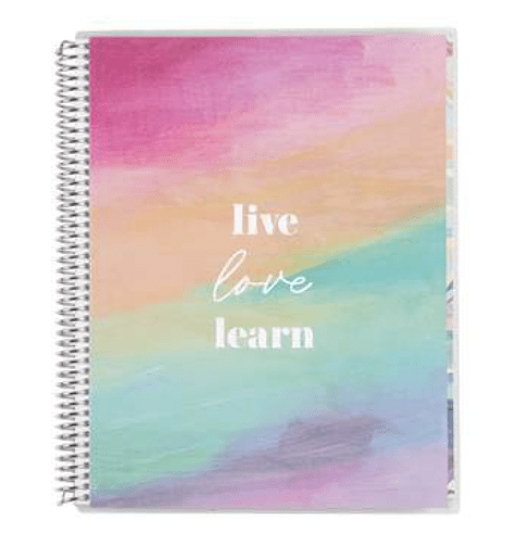 Erin Condren Large Notebooks