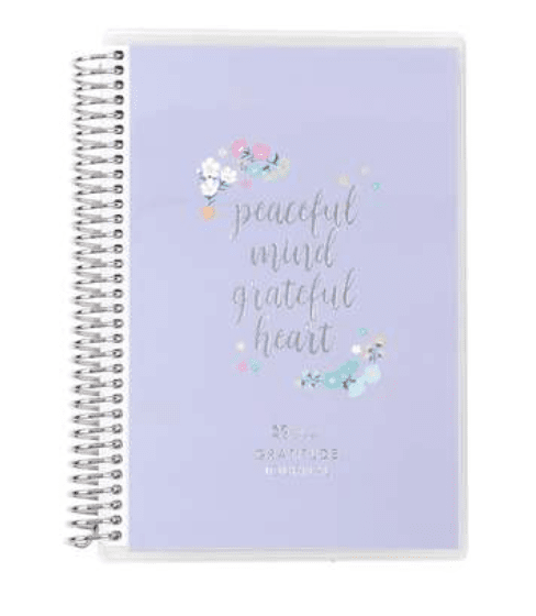 Erin Condren Gratitude Journal