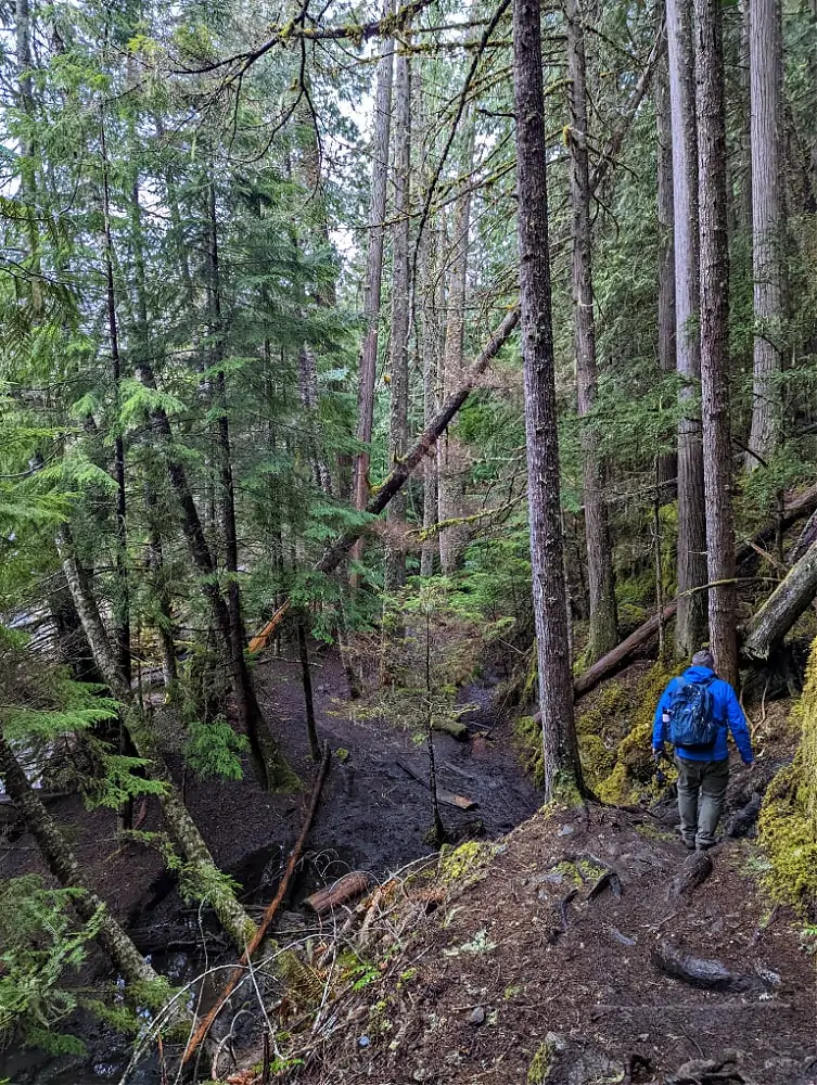 Trail to Skookum Falls