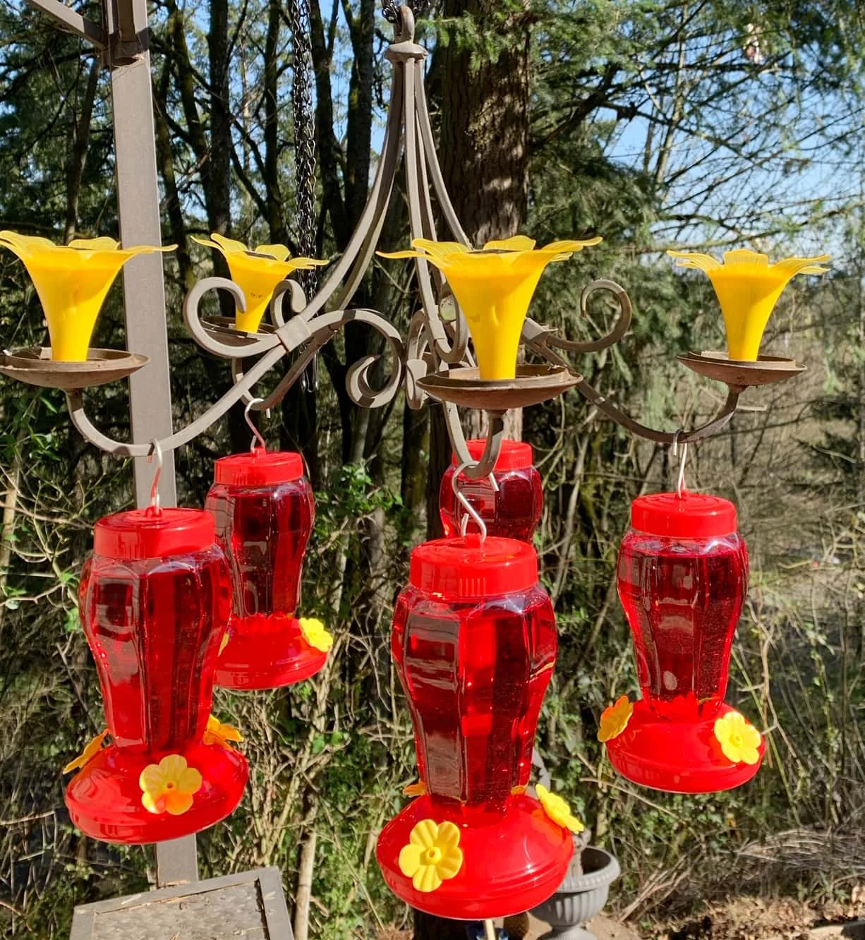 dollar store hummingbird feeder hack