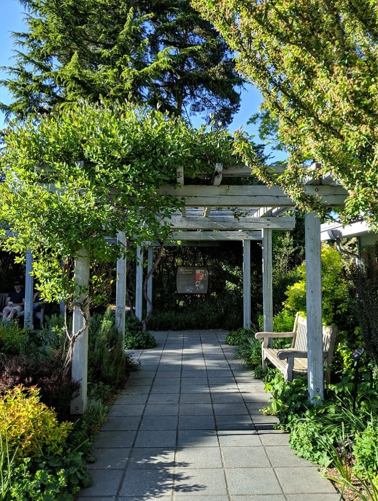 Bellevue Botanical Gardens Walkway