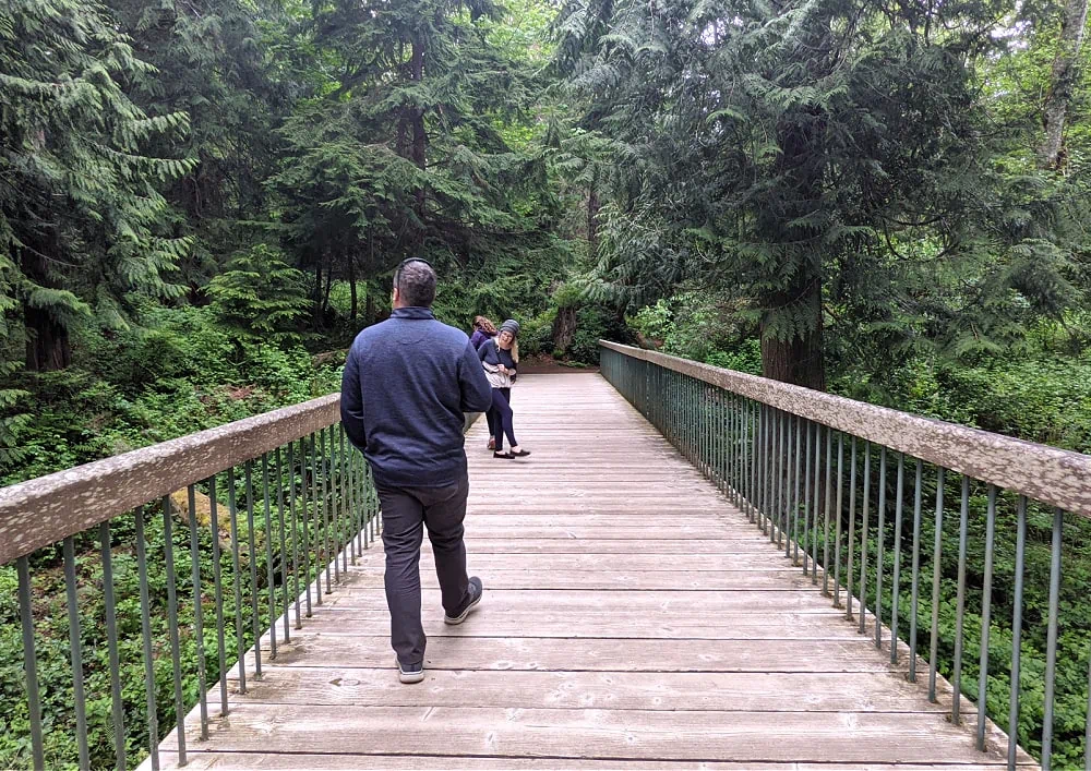 Boardwalk Area at Bloedel Reserve