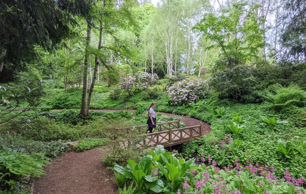 Garden pathway at Bloedel Reserve