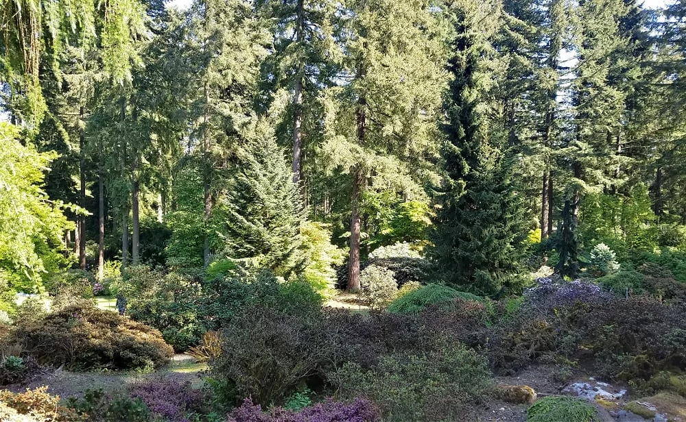 Rhododendron Gardens grounds