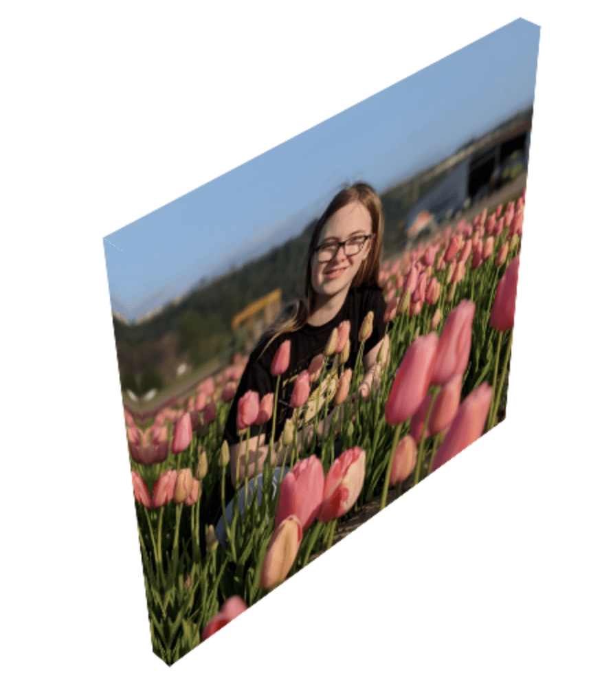 Canvas print in the tulips