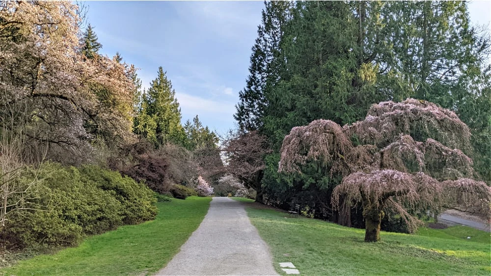 Washington Park Arboretum Walking Path