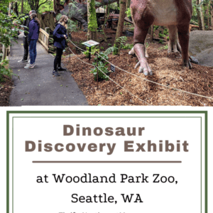Dinosaur Discovery Exhibit at Woodland Park Zoo