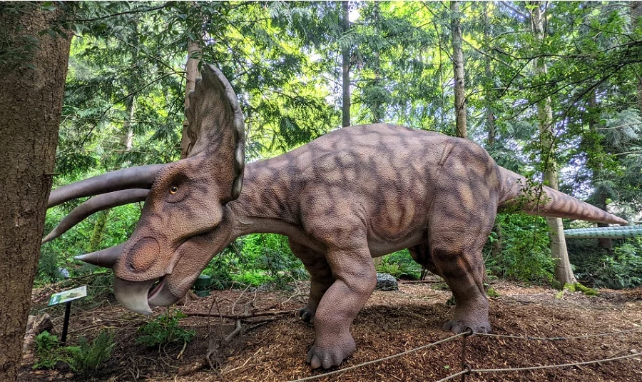 Dinosaur at woodland park zoo exhibit