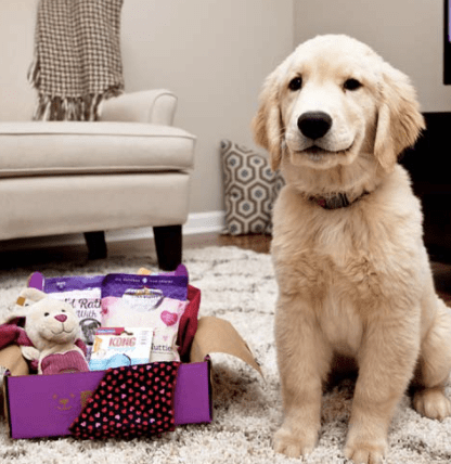 PupBox Subscription Box for dogs
