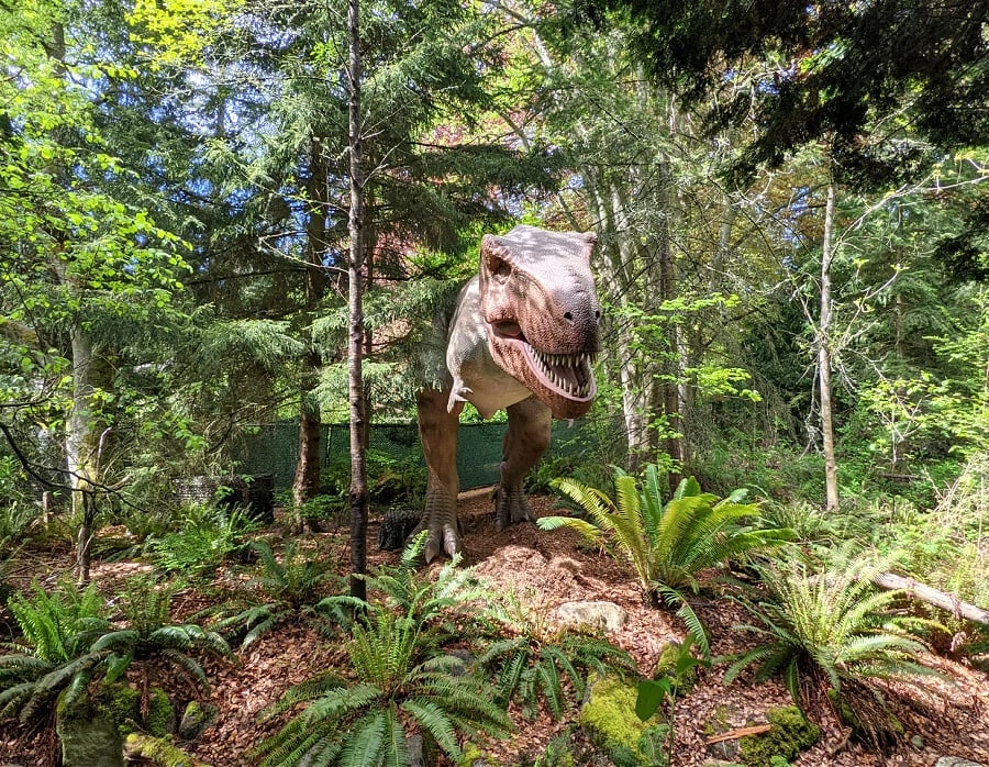 Tyrannosaurus Rex at Dino Exhibit