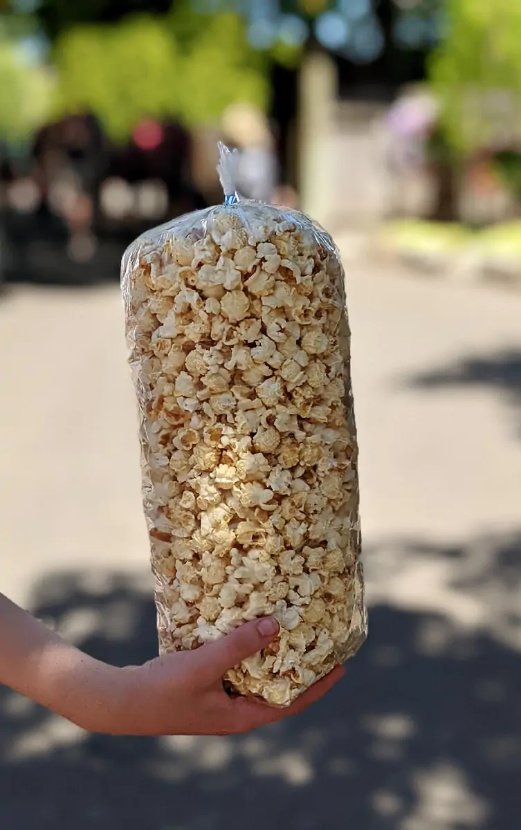 Kettle Corn at Silverwood