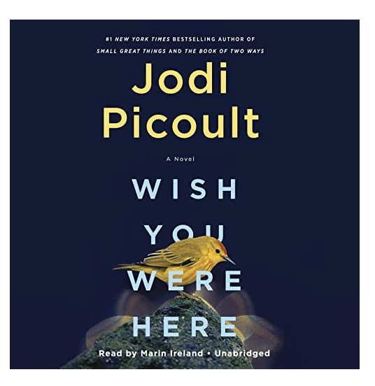 Jodi Piccoult Wish you were here