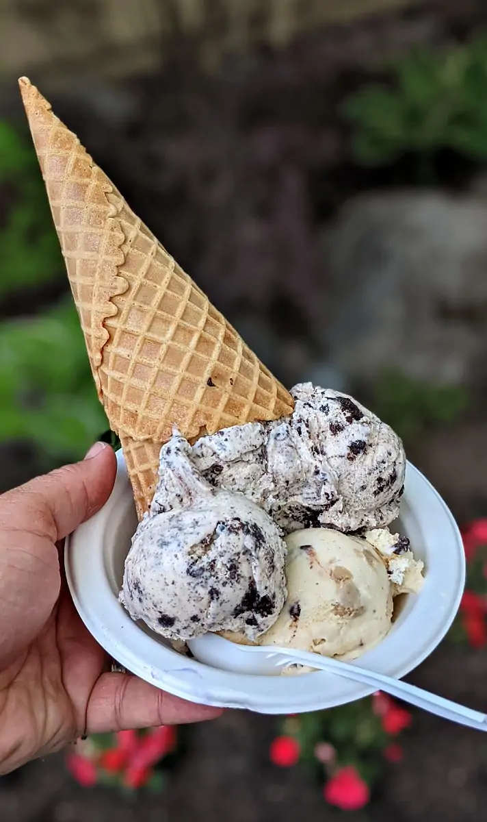 Silverwood Ice Cream in a Cone/Bowl