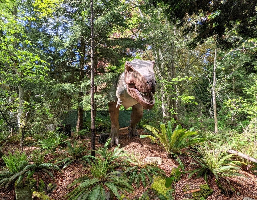 woodland park zoo dinosaur exhibit