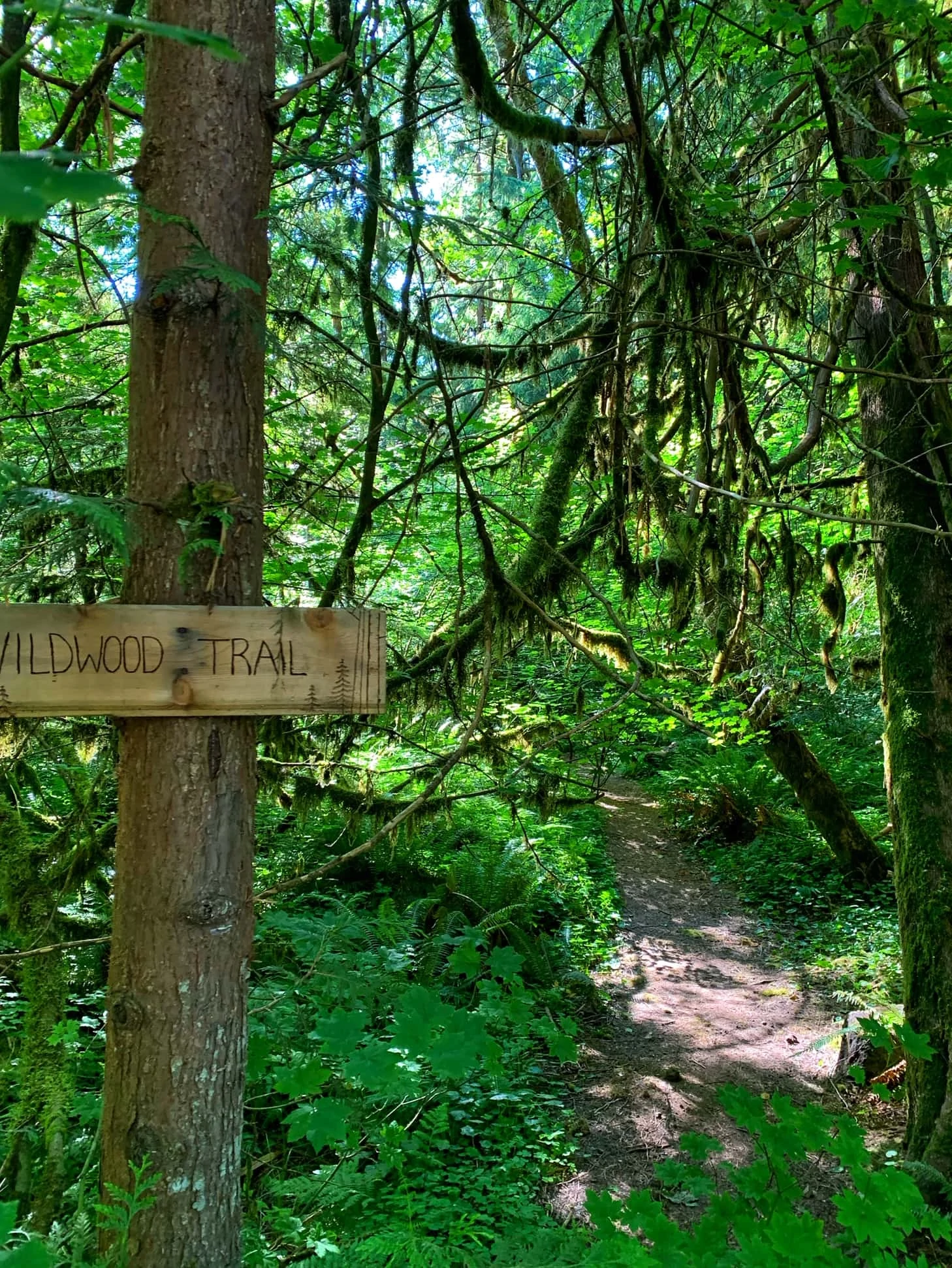 hiking trails at mt hood village