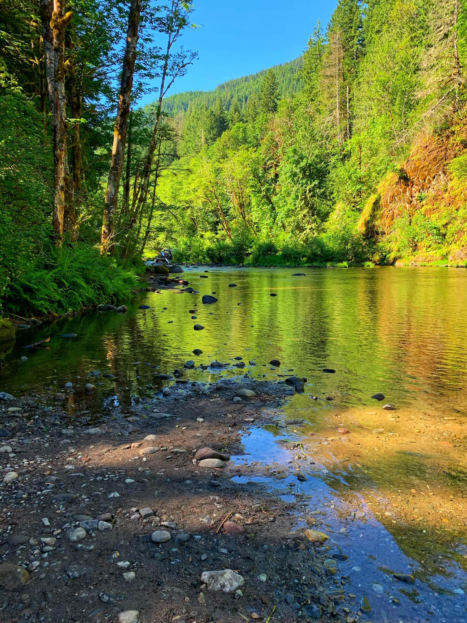 river in mt hood