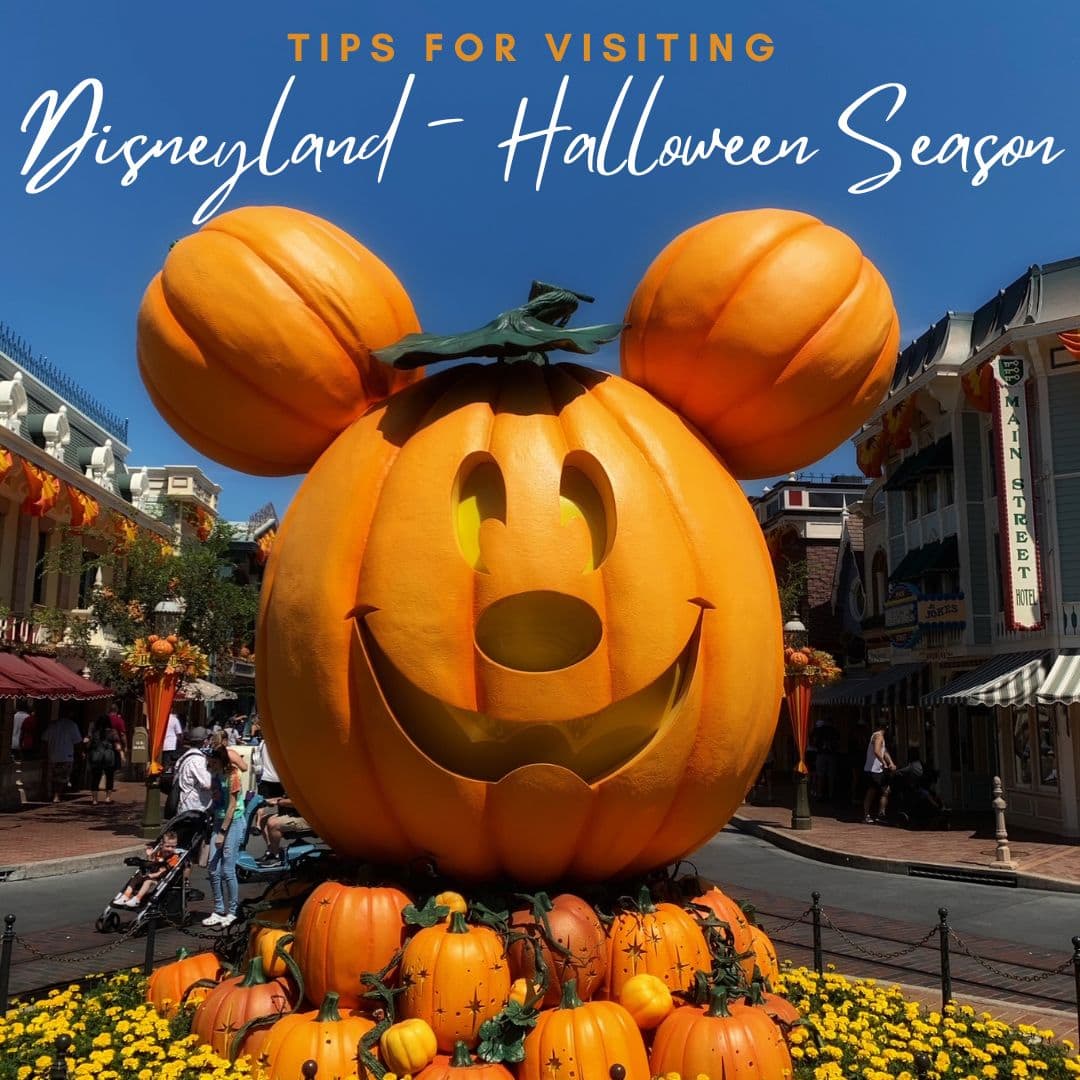 Disneyland Halloween 22 Tips For The Oogie Boogie Bash Thrifty Nw Mom