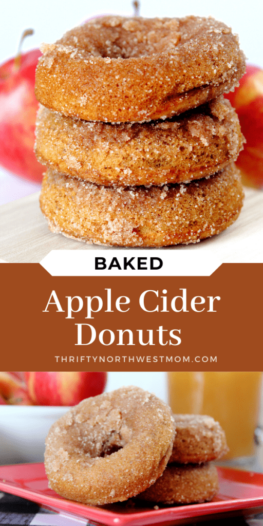 Baked Apple Cider Donuts – Easy Fall Recipe!
