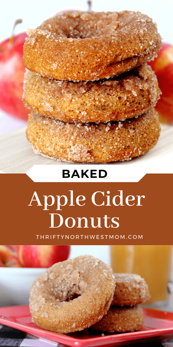 Baked Apple Cider Donuts