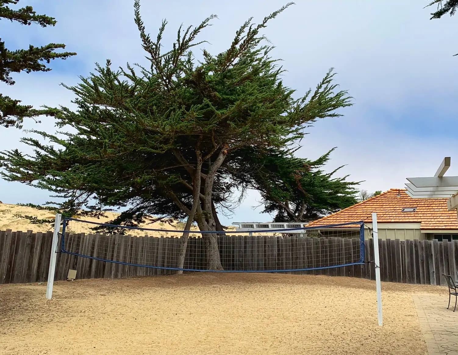 Sand volleyball at Marina Dunes