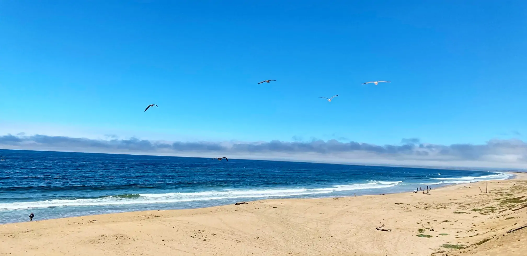 Marina Dunes Beach