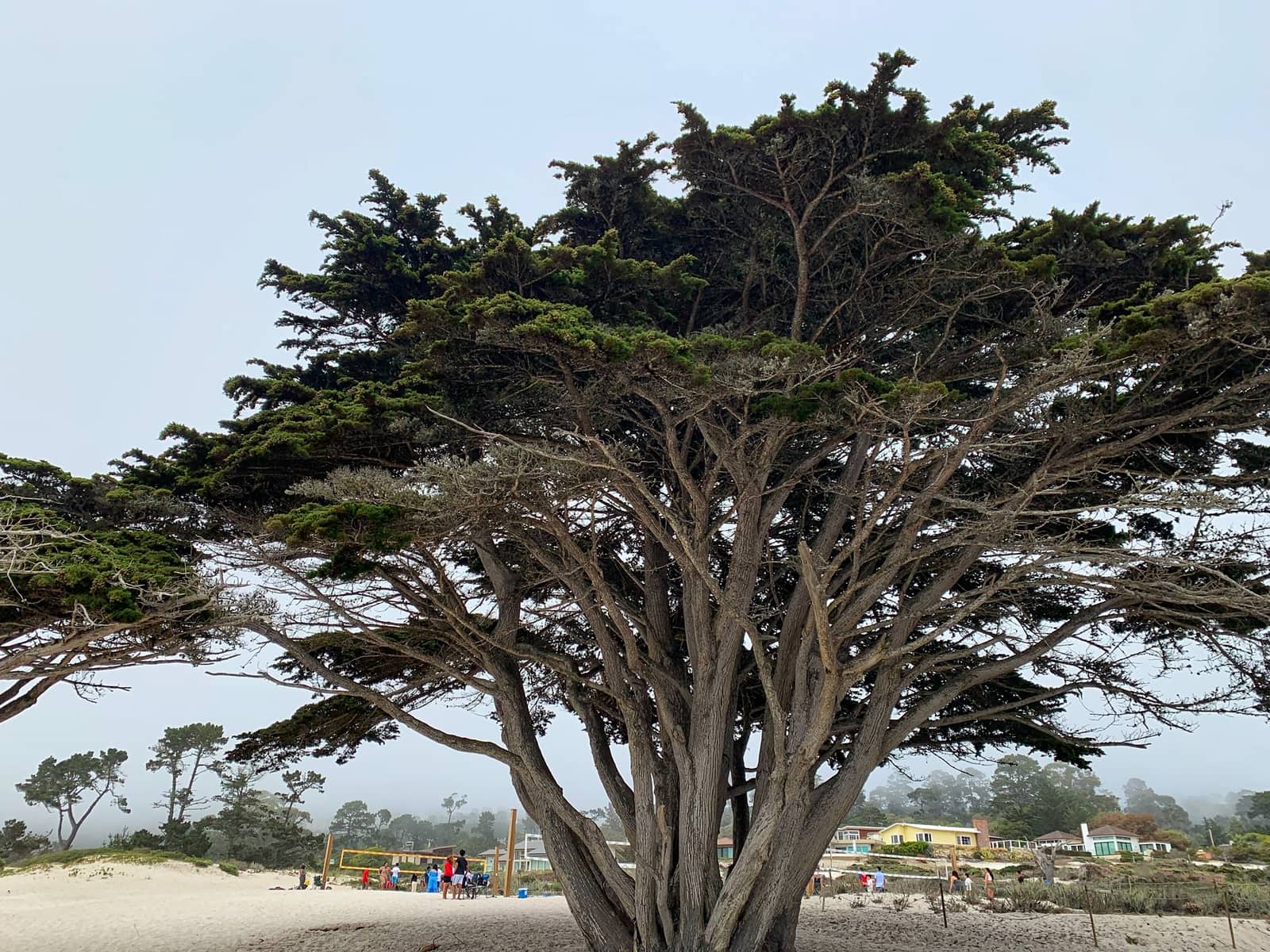 caramel by the sea beach