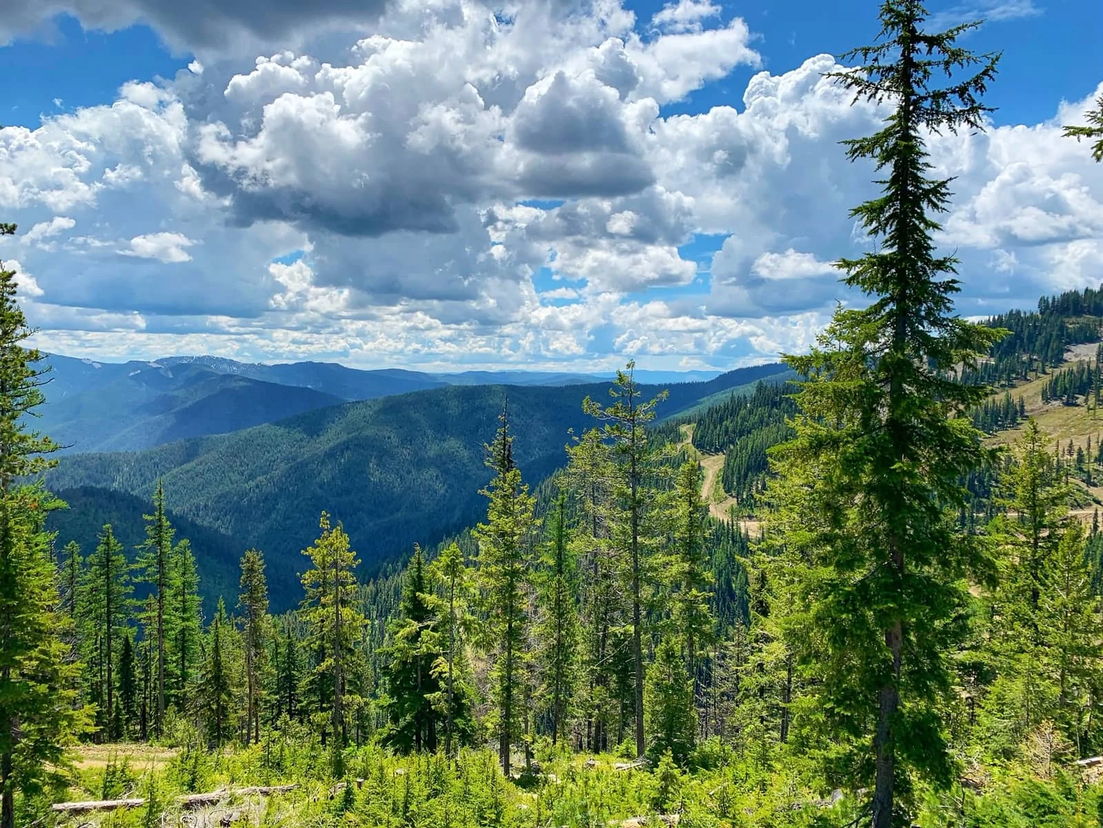 view at the top of silver mountain gondola