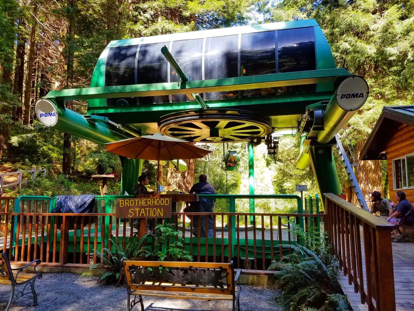 Gondola ride redwoods
