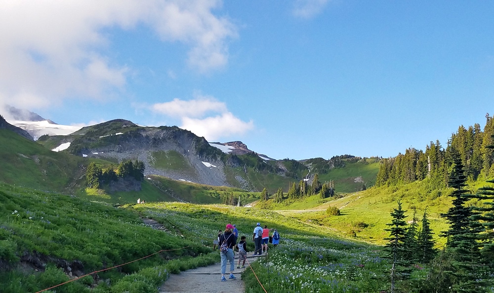 Mount Rainier Golden Gate Trail