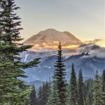 Mount Rainier HIkes