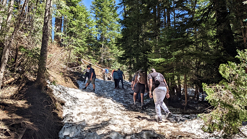 Narada Falls Trail