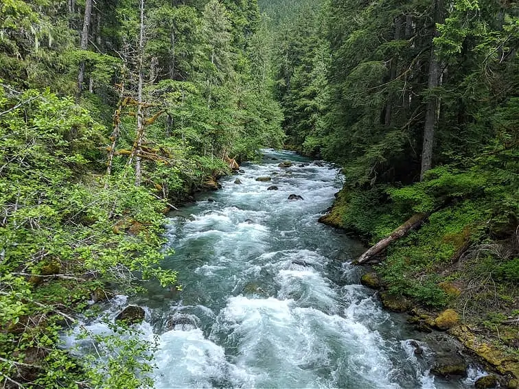 River near Silver Falls