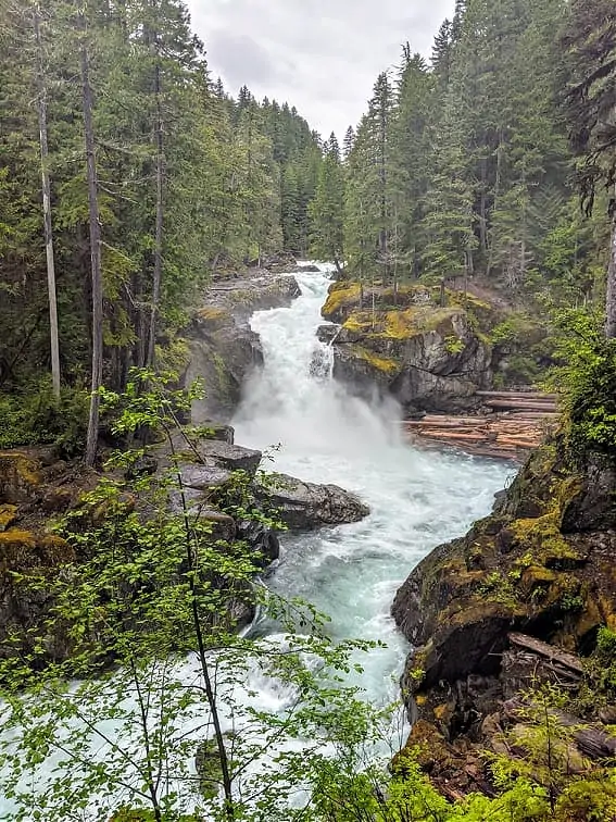 Silver Falls Mount Rainier 