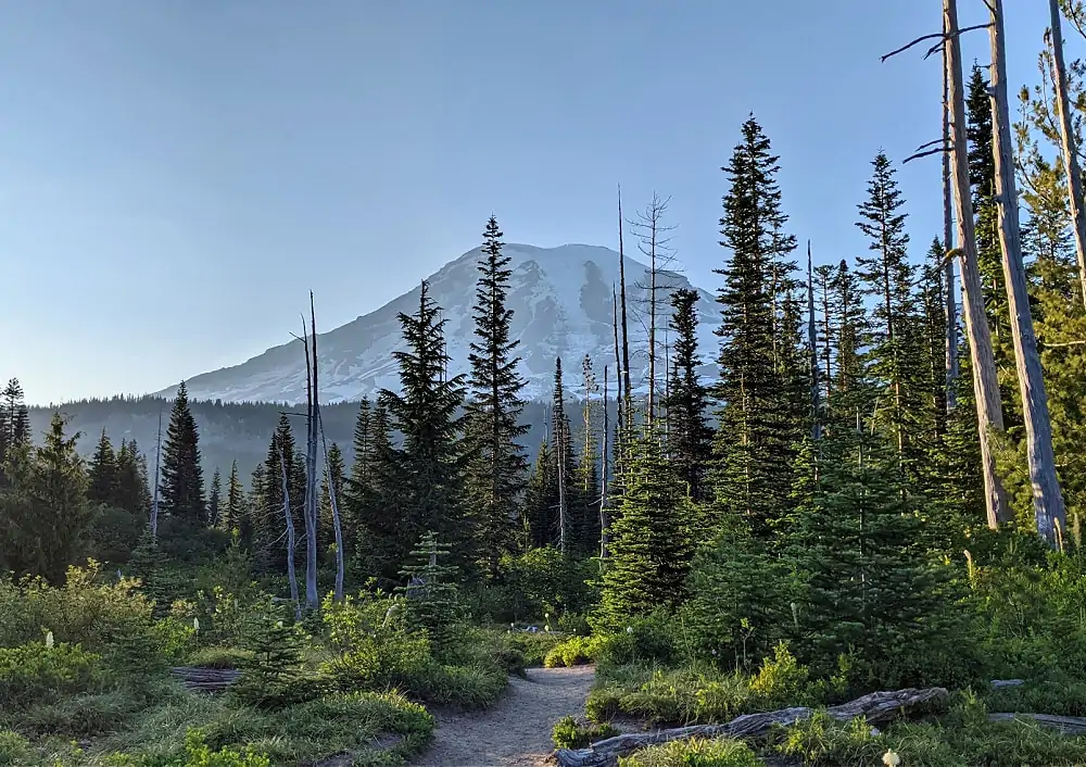View of Mount Rainier on Bench Snow Lakes Trail