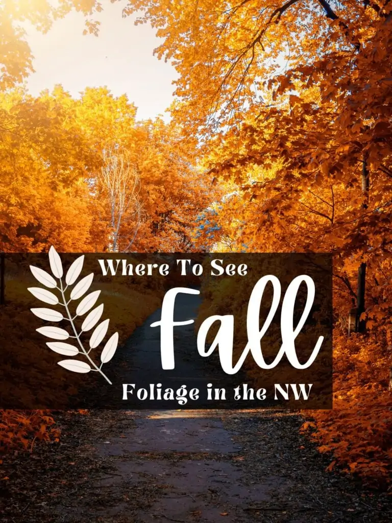 Fall Foliage: Places to View in Seattle, Portland & More!