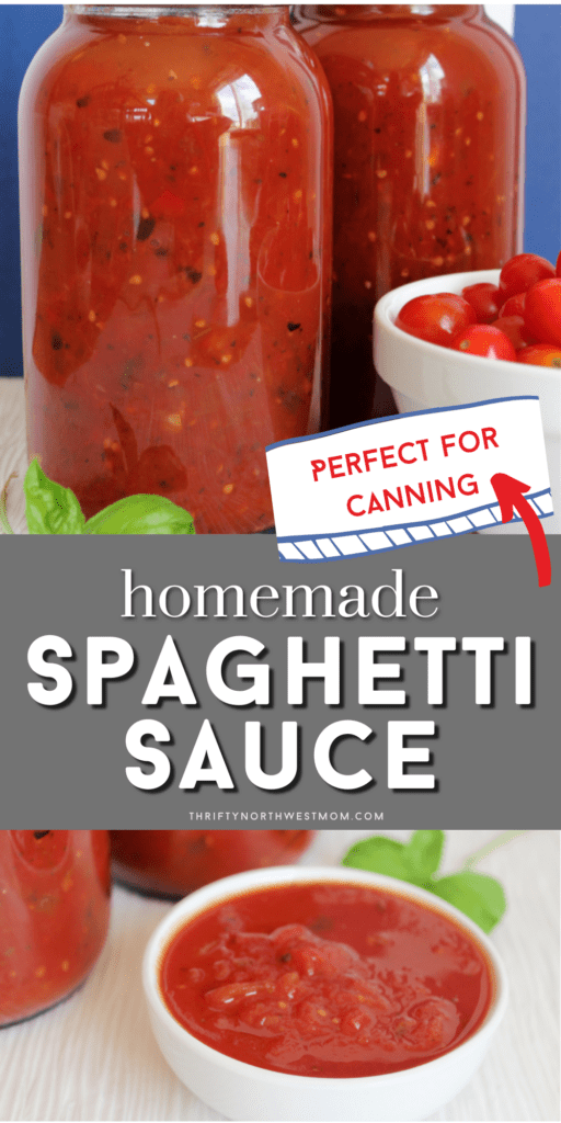 Homemade Spaghetti Sauce Recipe