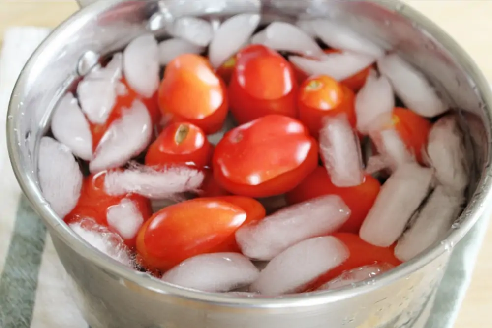 In process with ice for tomatoes and sauce