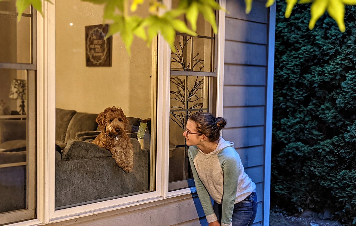 Peeking at the dog in the window