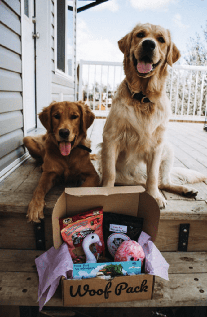 Woof Pack Dog Subscription Box – 1st Box for just $2!