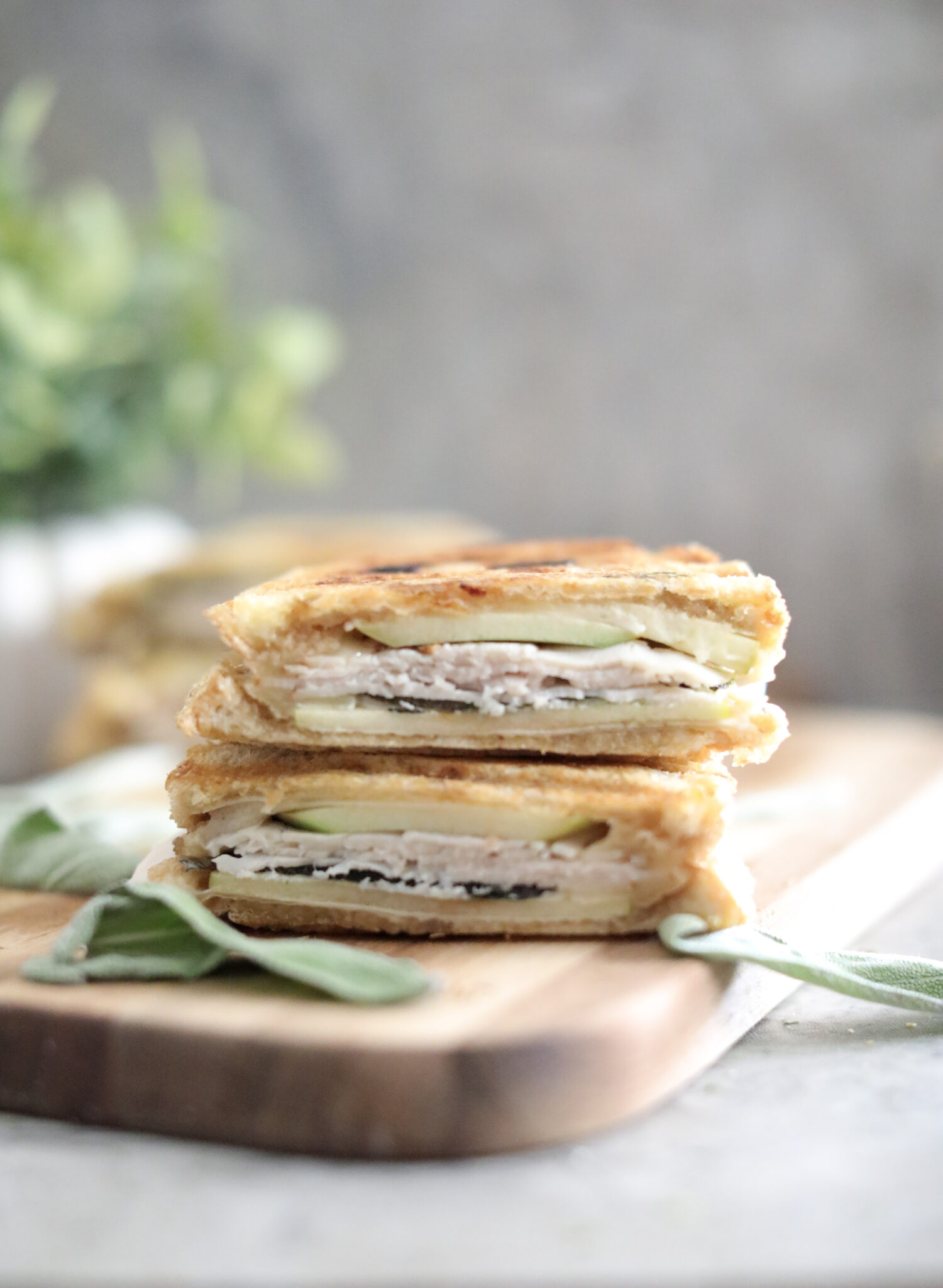 Turkey Panini Sandwich Recipe with Apple, Cheese & Sage - So Delicious ...