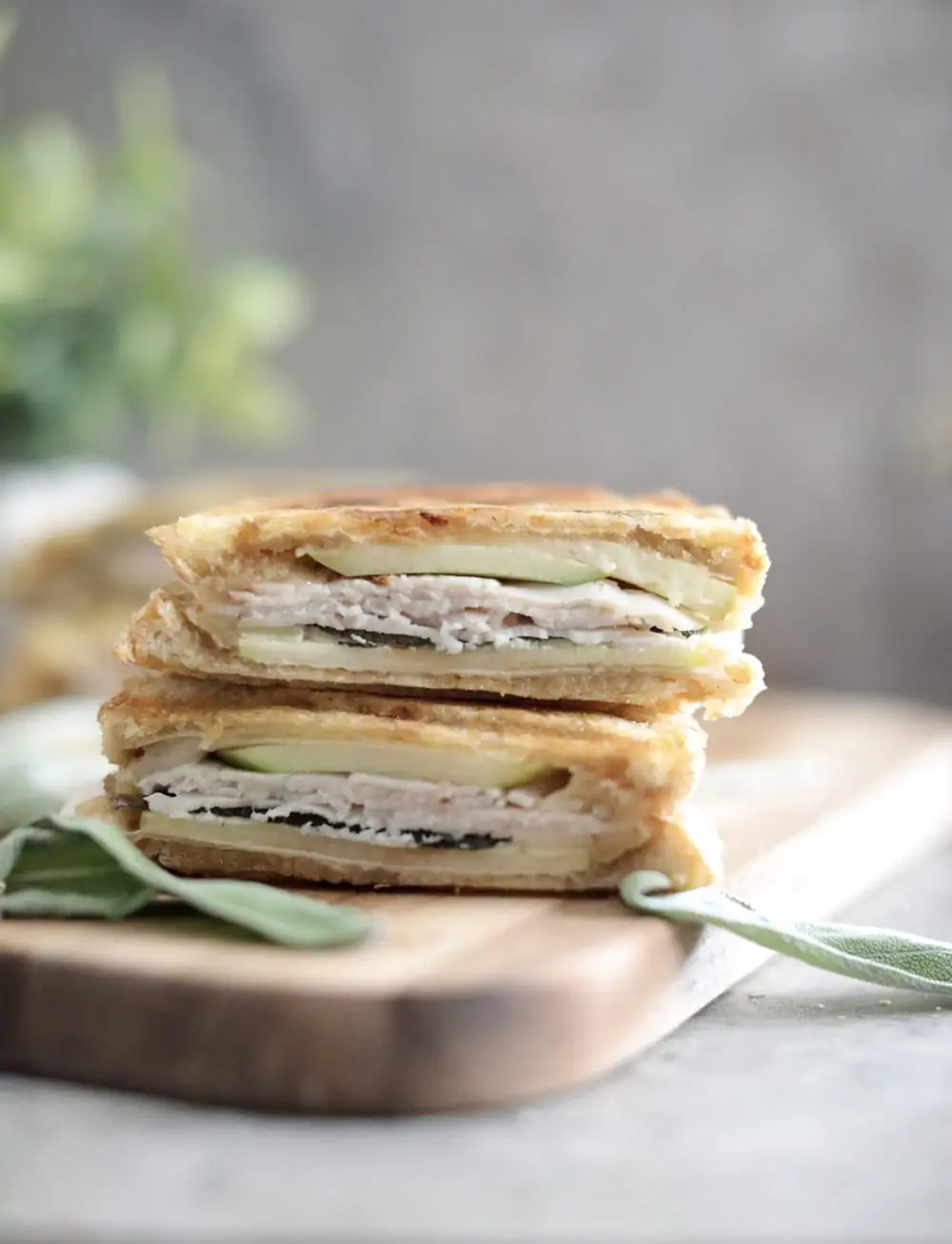 turkey panini sandwich recipe