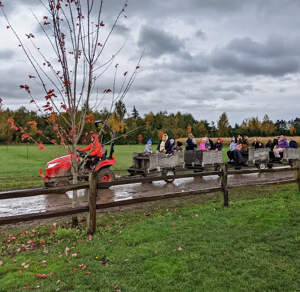 Apple Bin Train at Bellewood Farms