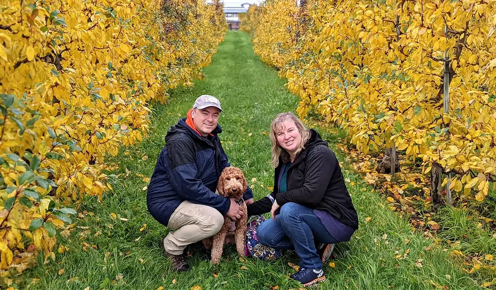 Apple Orchard Fall Colors at Bellewood Farm