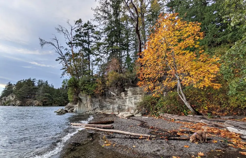 Beach at Larrabie State Park in the Fall